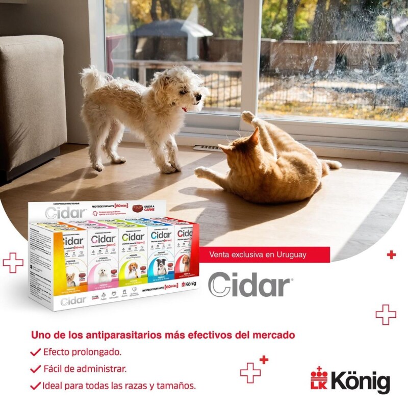 CIDAR PERROS PASTILLA ANTIPULGAS Y ANTIGARRAPATAS KONIG 1.5 A 3 KG
