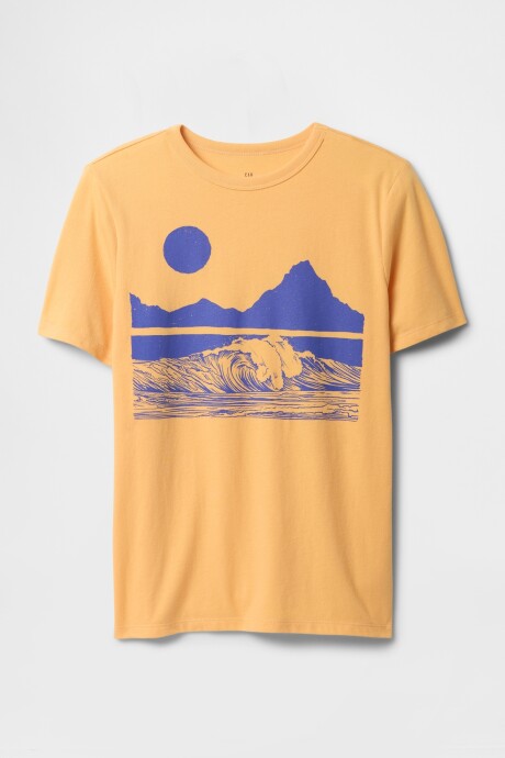 Remera Gráfico Niño Orange Nectar 660