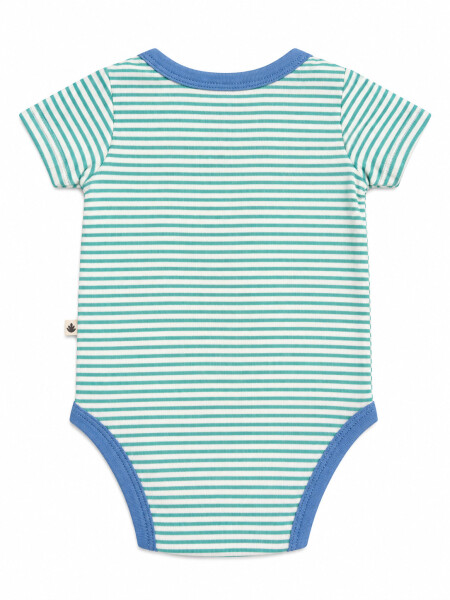 BODY KOLER VERDE