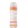 Biberon Vidrio Chicco 240 ML Striped Rosa