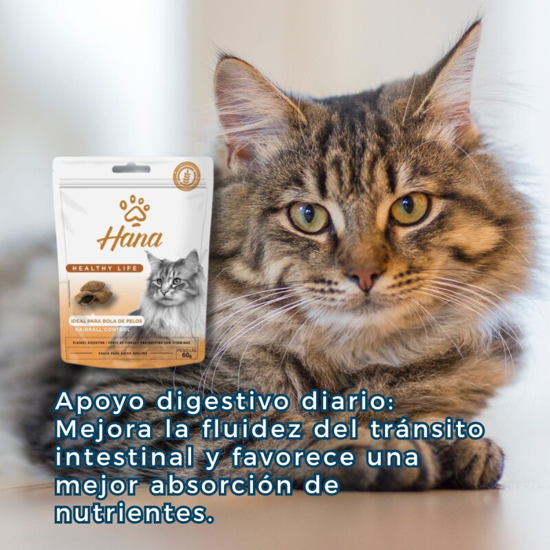 SNACK HANA CONTROL BOLA DE PELO PARA GATOS 60 GRAMOS SNACK HANA CONTROL BOLA DE PELO PARA GATOS 60 GRAMOS