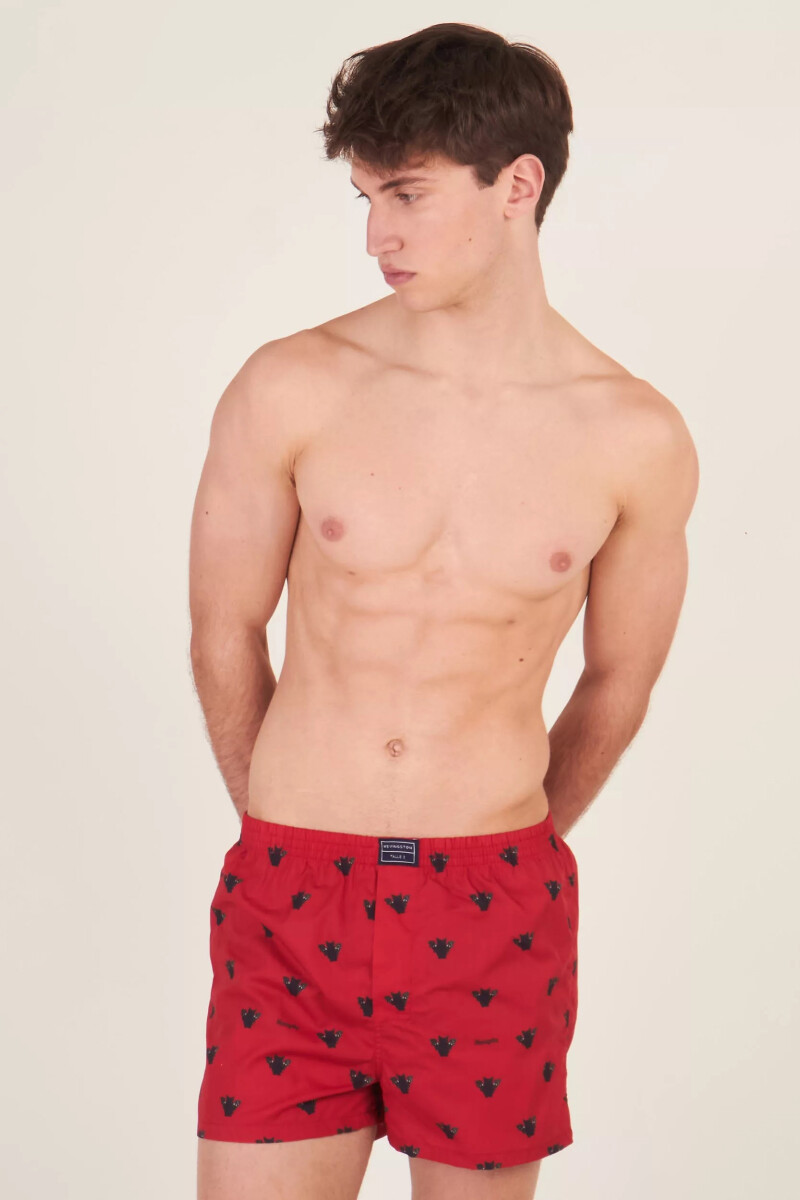 Bóxer Kevingston DAC