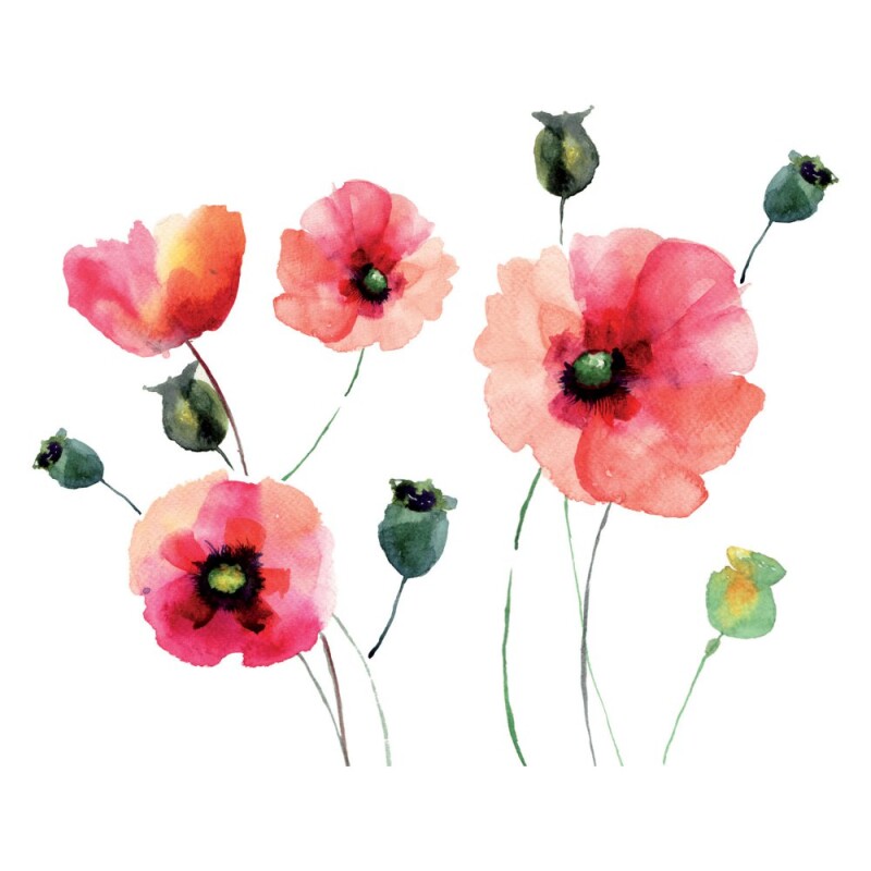 WALLPOPS WATERCOLOR POPPIES WALL DECALS WALLPOPS WATERCOLOR POPPIES WALL DECALS