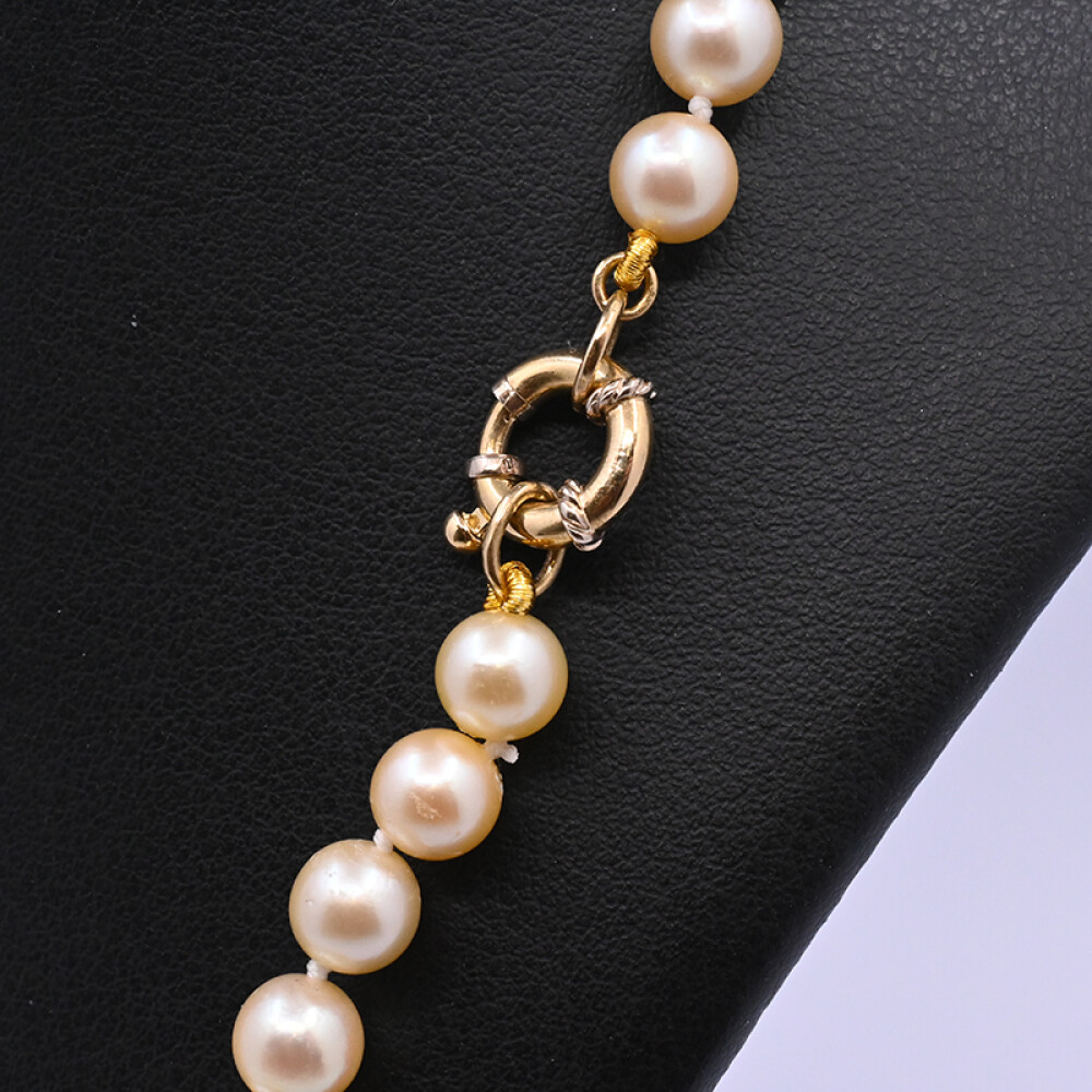 Collar perlas de cultivo argolla marinera oro 18 k. Collar perlas de cultivo argolla marinera oro 18 k.