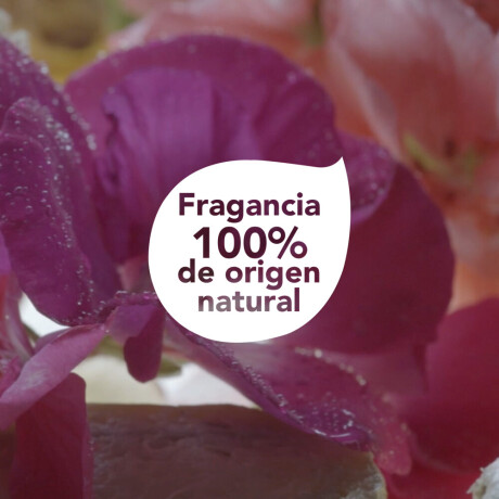 Dove Masc Nutricion+Geranio Dove Masc Nutricion+Geranio