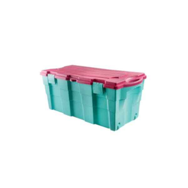 BAUL 100 LTS. VERDE/ ROSADO 94X45X40 CM. VERDE