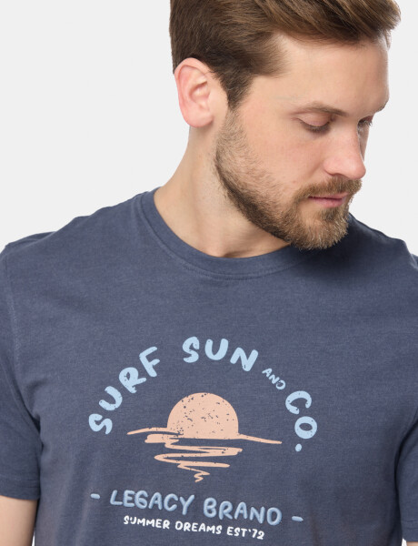 REMERA ESTAMPADA Azul