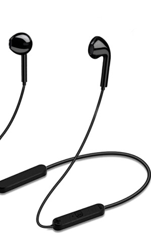 AURICULAR PACÍFICO NEGRO