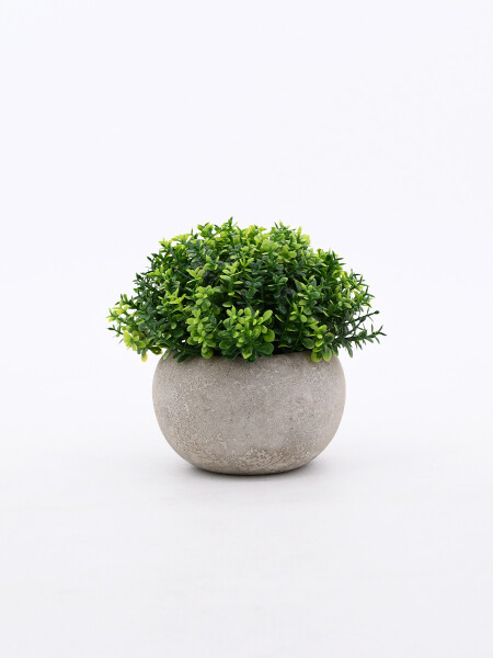 ARBUSTO VERDE