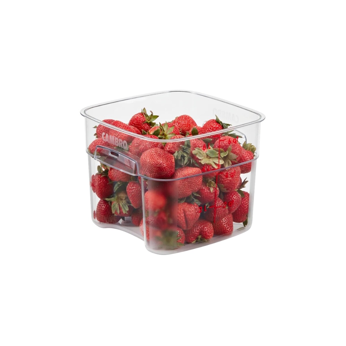 Recipiente Cuadrado de Policarbonato 5.7 Litros FreshPro 
