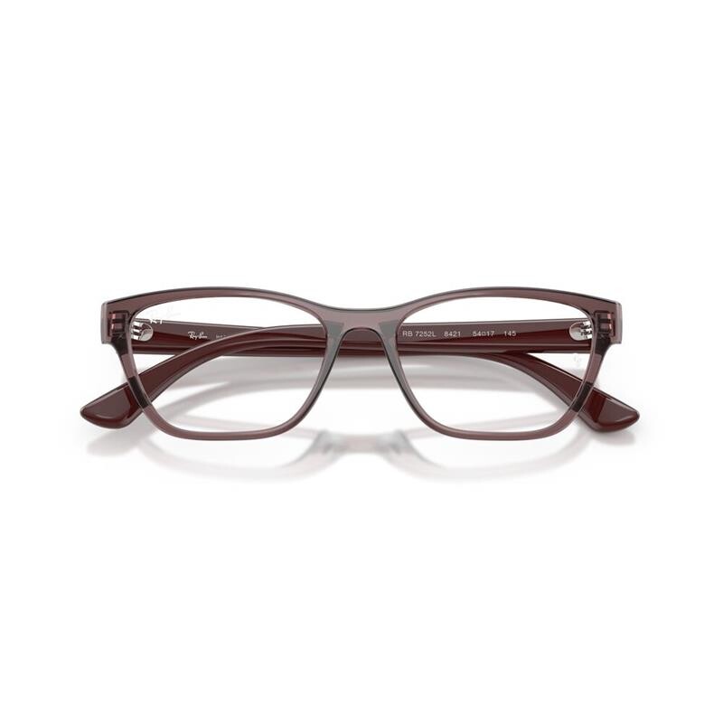Ray Ban Rb7252l 8421