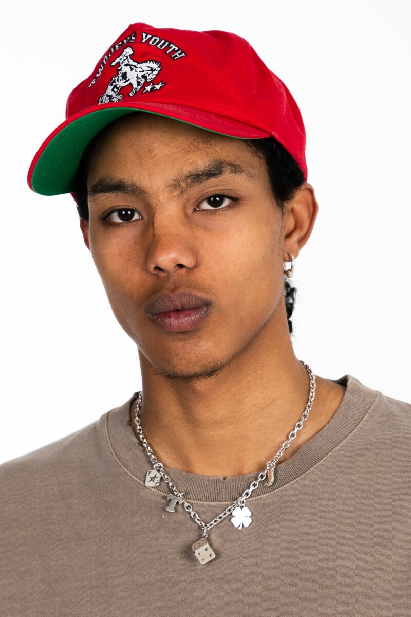 Twojeys Lucky Charms Necklace Plata
