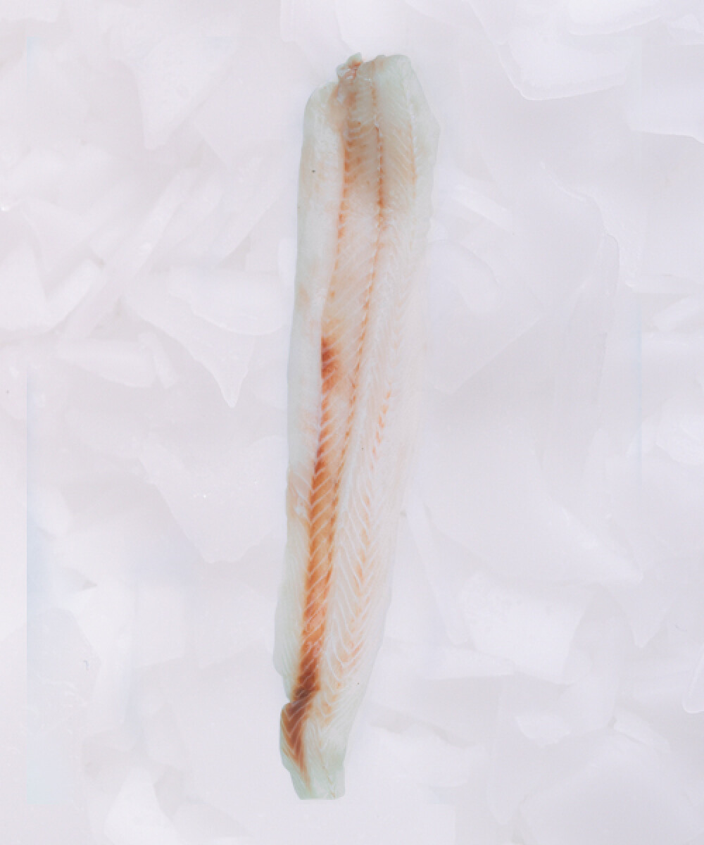 Filete de Cazón - 1Kg 