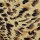 Colaless Eliana Print 4