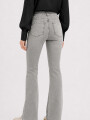 Pantalon Sabina Gris Claro