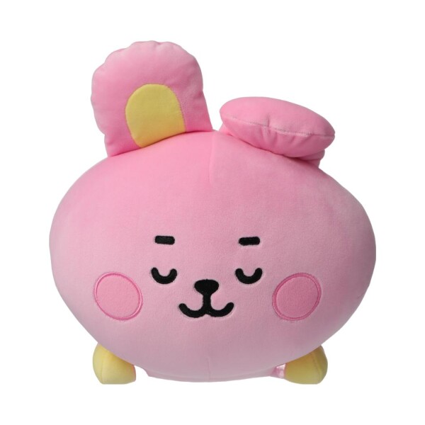 Peluche BT21 baby durmiendo Cooky