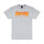 Remera Thrasher Flame Logo Gris
