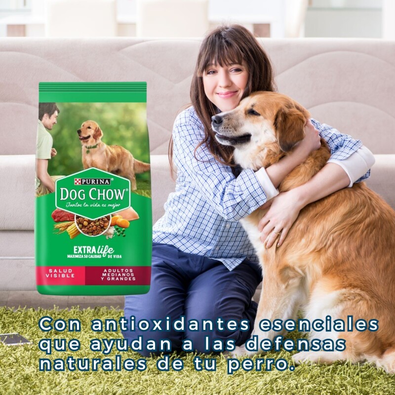 DOG CHOW PERROS ADULTOS RAZAS MEDIANAS Y GRANDES 21 KILOS DOG CHOW PERROS ADULTOS RAZAS MEDIANAS Y GRANDES 21 KILOS