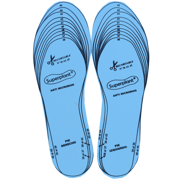 Limpiador Wassington Plantilla Anti Bacteriana Celeste