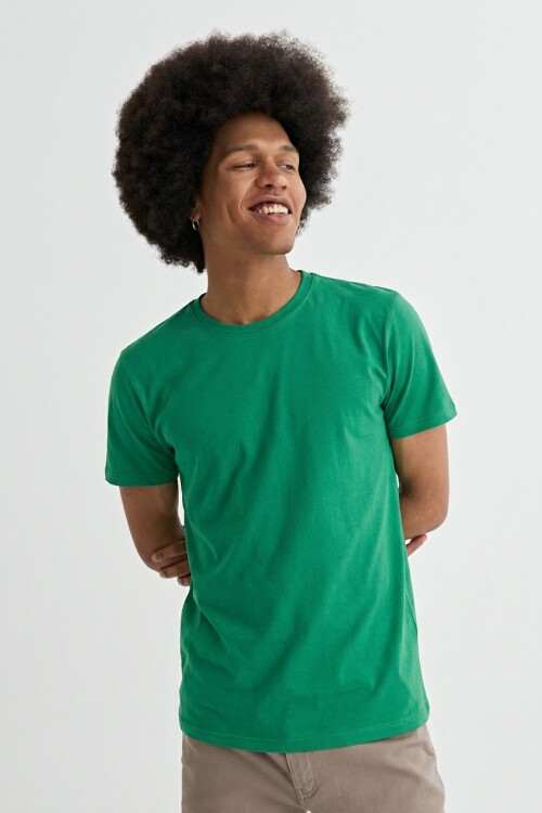 Remera cuello redondo ICONIC 150 VERDE