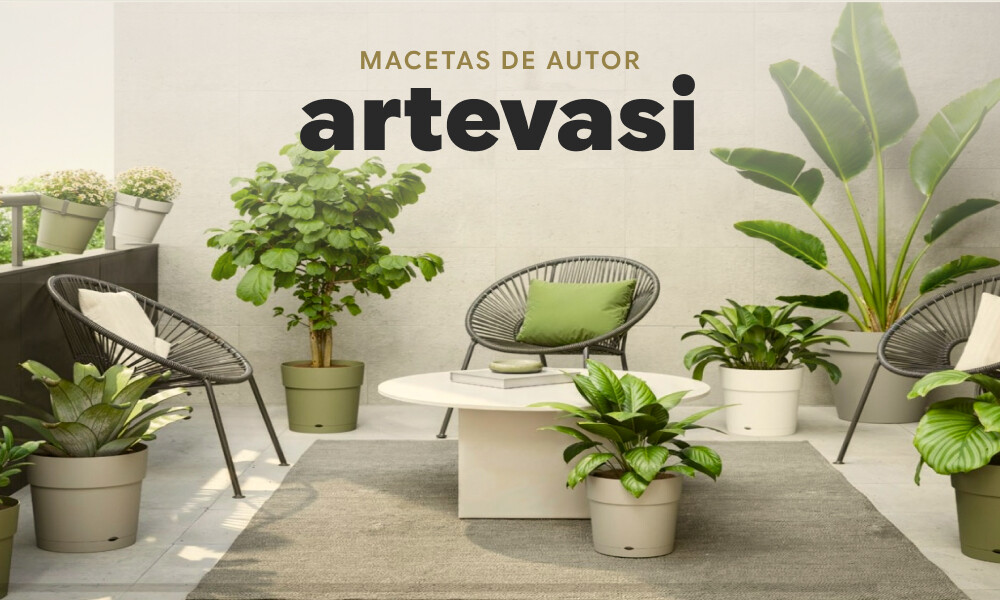 Artevasi