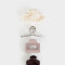 Broches Sets Set por 4 Set De Broches - Combinacion Multicolor