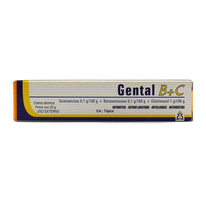 GENTAL B + C CREMA DERMICA POMO X 20 GRA única