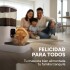 Comedero Dispensador Automático Smart Wifi Camara Perro Gato Color Blanco Negro