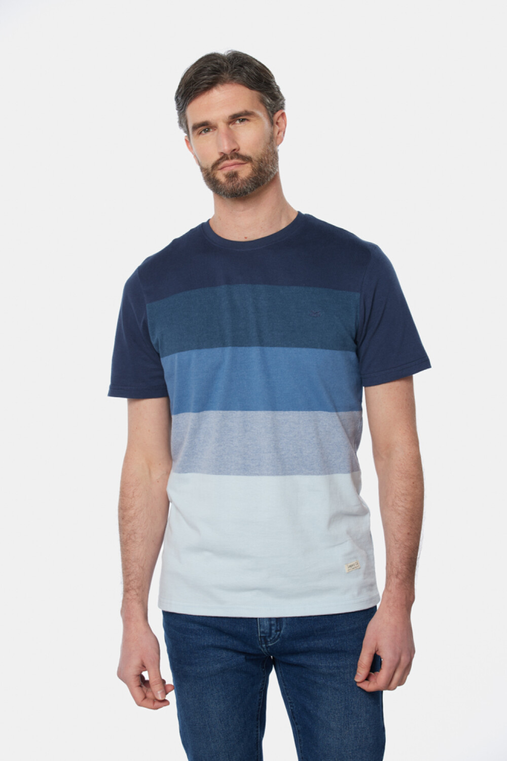 REMERA RAYADA Azul