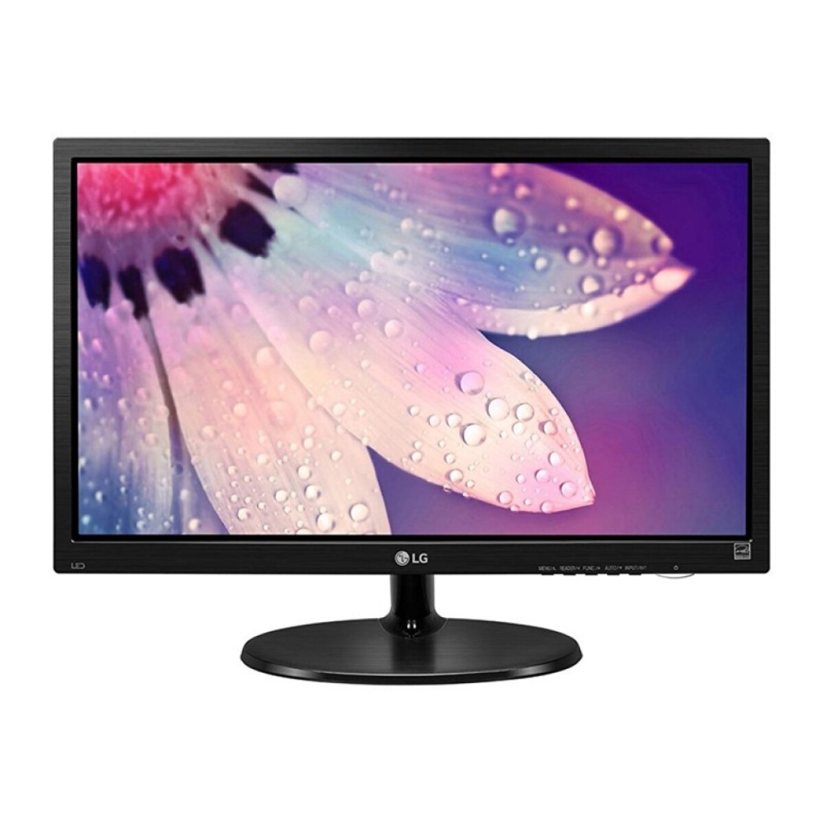 Monitor Lg 19" 19m38h-b 