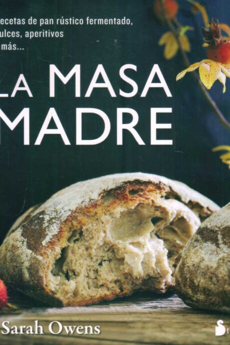 LA MASA MADRE LA MASA MADRE