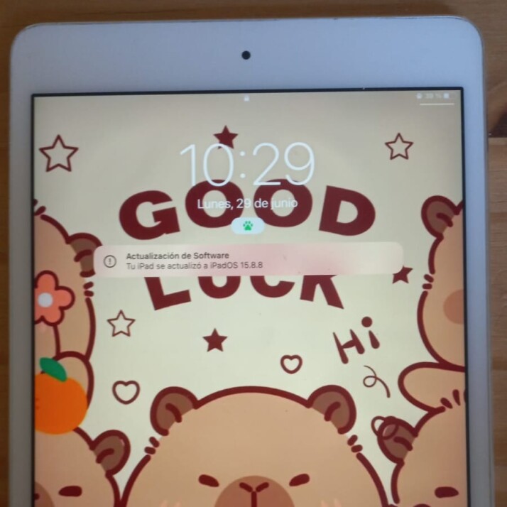 iPad Mini 4 16GB - Silver iPad Mini 4 16GB - Silver