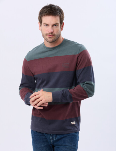 REMERA RAYADA CON ESTAMPA Azul