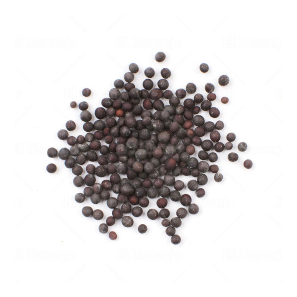 Semillas de Mostaza Negra para Auriculoterapia 8 g Semillas de Mostaza Negra para Auriculoterapia 8 g