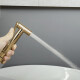 Griferia Ducha Higienica Embutir En Oro Cepillado - Signature 000