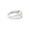 Anillo Profesión Asistente social-Plata y Oro-Sin Piedra-AP5000 Sinpiedra
