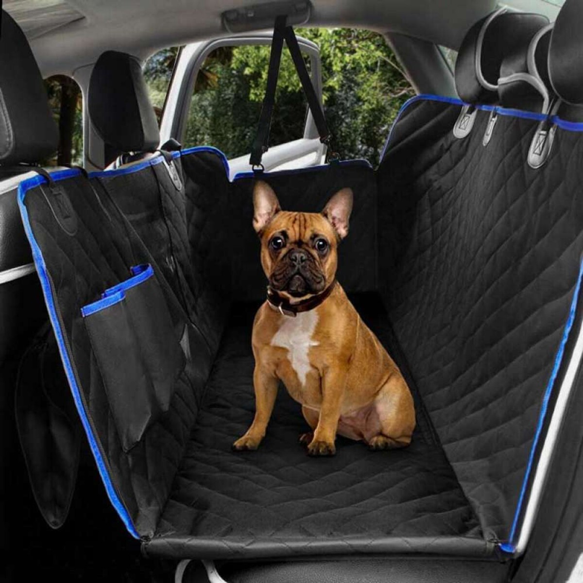 Cobertor De Mascotas De Dos Plazas Completo - Con Borde Azul 