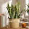 Canasto Seagrass 31 cm Liso