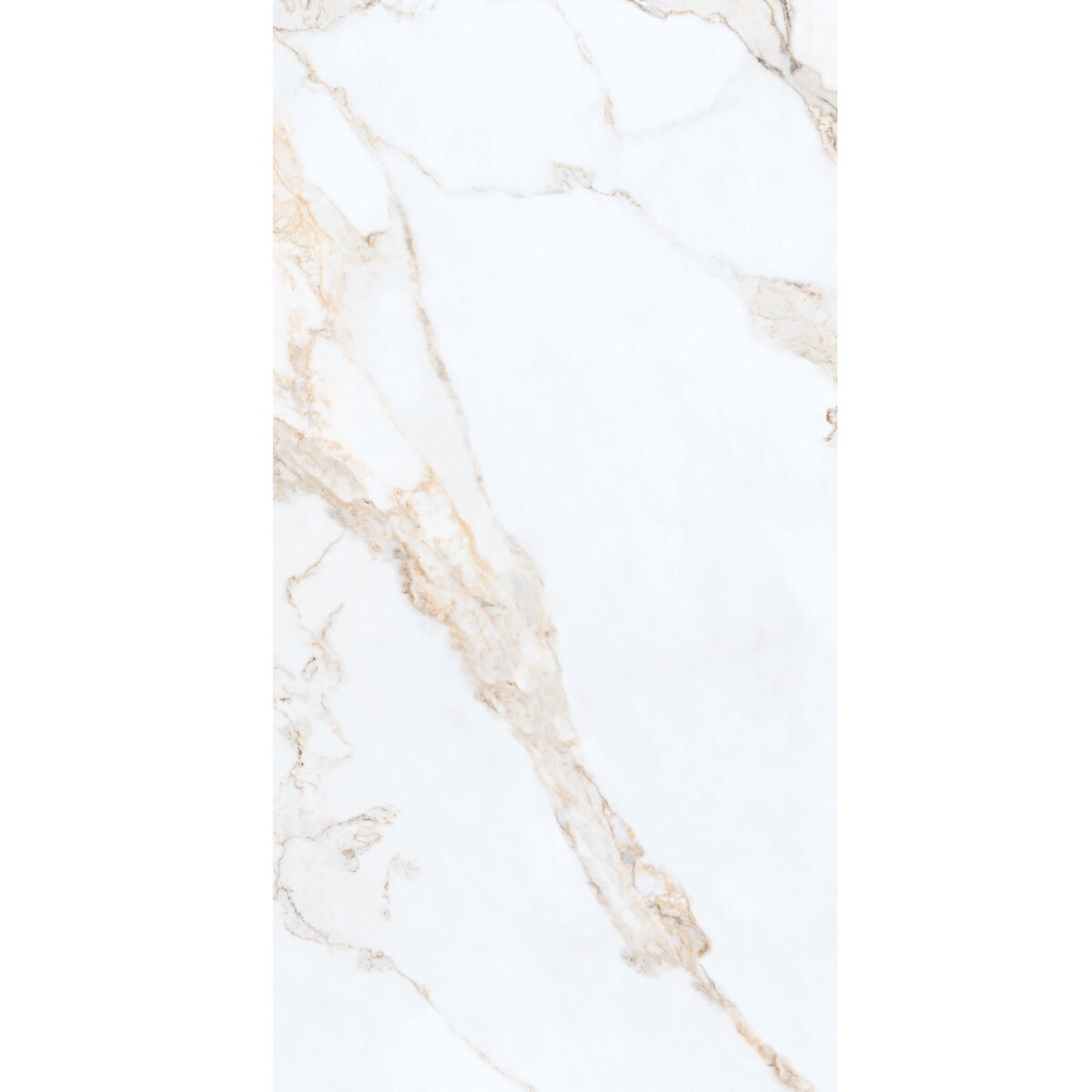Por. Calacatta Radiance 60x120 Pulido Y Rectificado 