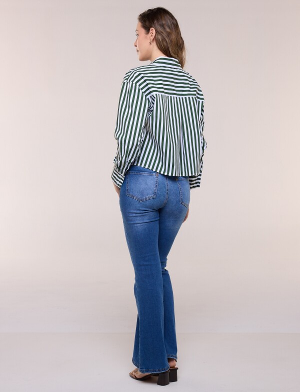 Camisa Crop Lineas VERDE/MULTI