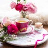 PORTMEIRION KIT KEMP TAZA Y PLATO ROSA PORTMEIRION KIT KEMP TAZA Y PLATO ROSA
