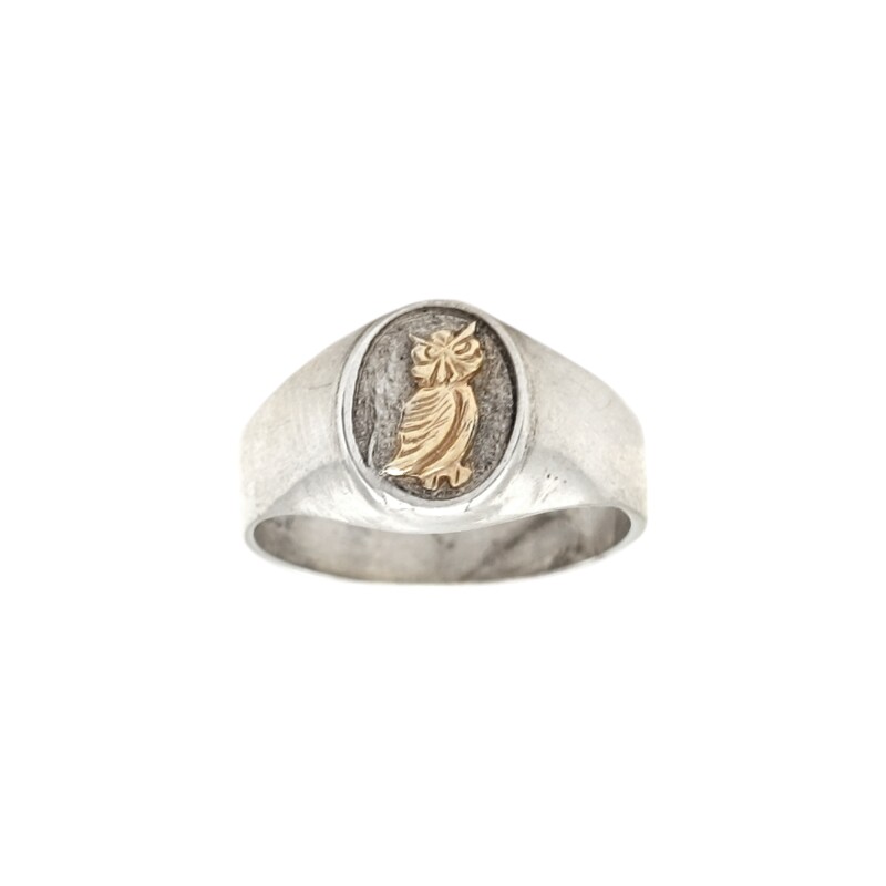 Anillo Profesión Profesor - Plata y Oro-Sin Piedra-AP5042 ap5042