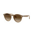 Ray-Ban Black on Gold Beige on Gold