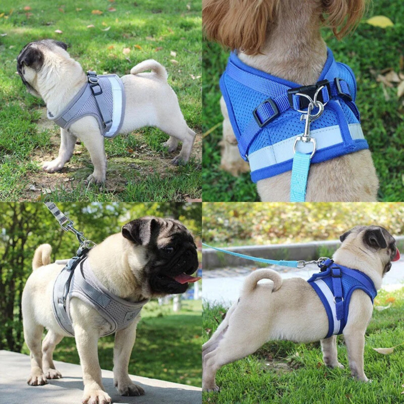 Pretal Arnes Perro Gato Mascotas Reflectivo + Correa Premium Color GRIS Talle M
