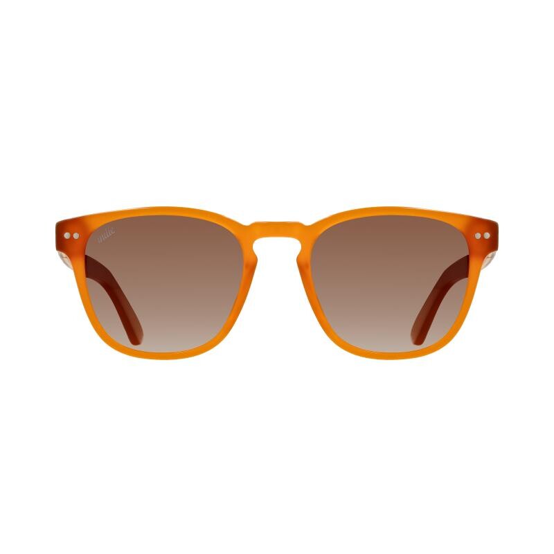 Indie Palm Ambar-marron Degrade
