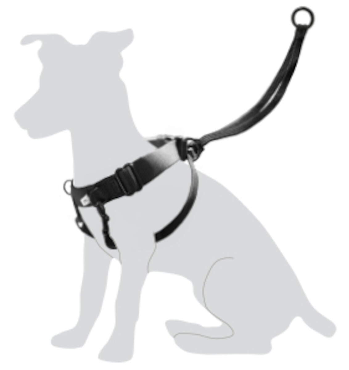 ARNÉS EASY WALKER L 45-65CM 