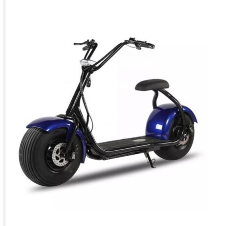 Moto Patin Electrico City Coco "k" 1000w 60v S/susp. B/gel Unica