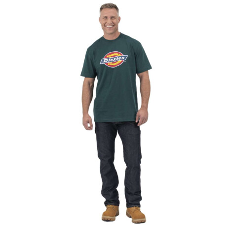 Remera Dickies Tri-Color Logo Verde