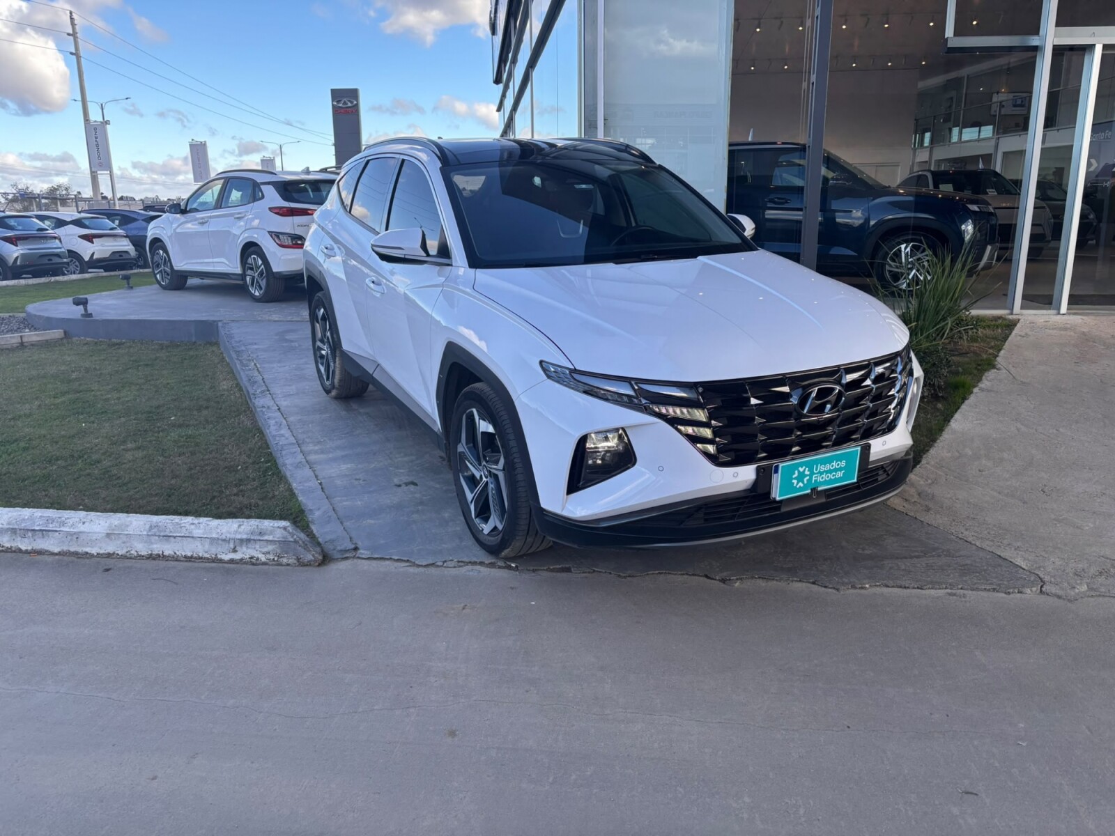 Hyundai Tucson Limited HEV - 2024 