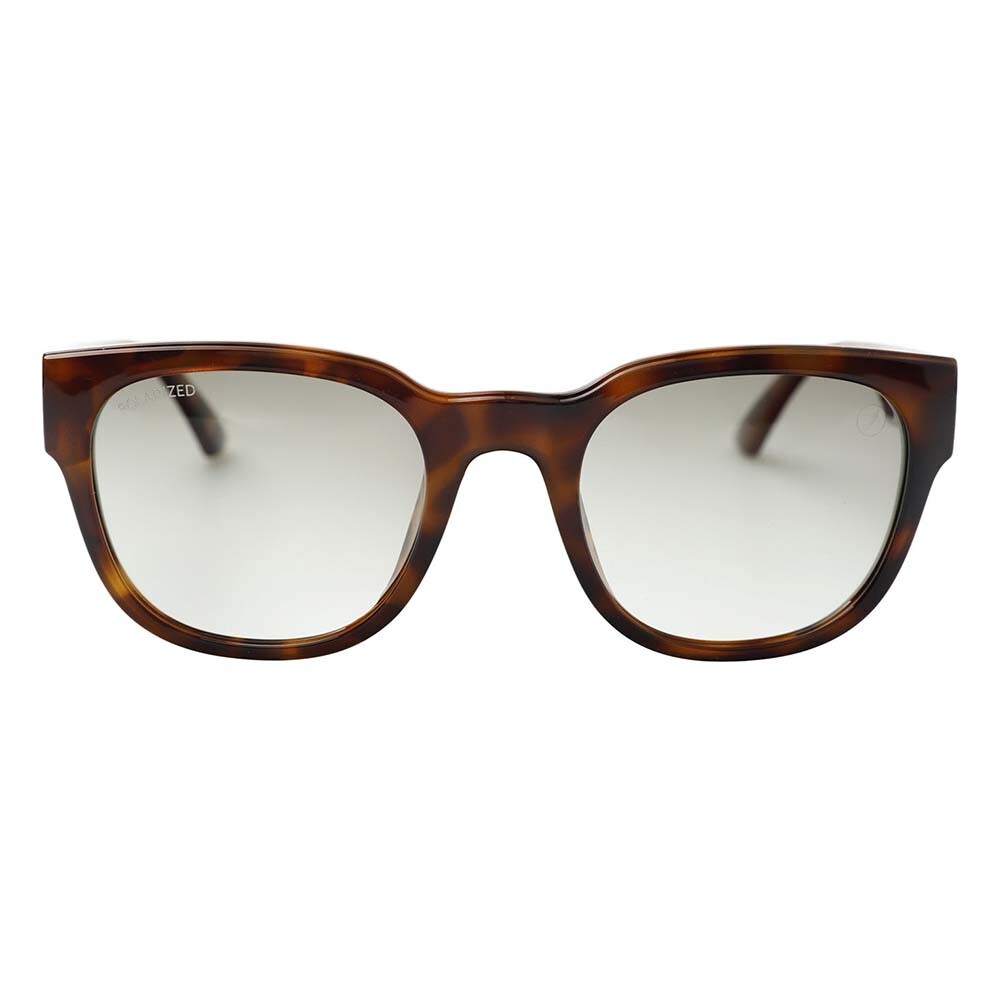 Lentes De Sol De Policarbonato Redondo Chilli Beans Gradiente Verde/Tortuga